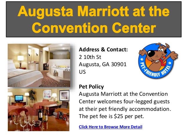 dog friendly hotels in augusta ga dog friendly hotels in augusta ga